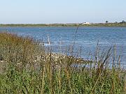 St. Augustine - Jan 2012 062